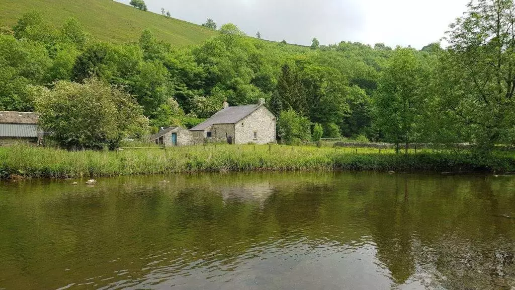Tal Derbyshire