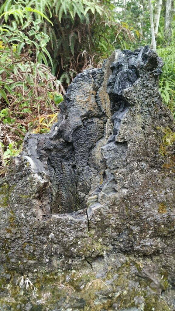 Dieser Baumstamm wurde vor 230 Jahren von Lava gegossen.